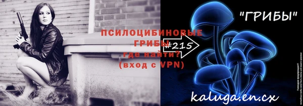 ALPHA-PVP Новозыбков