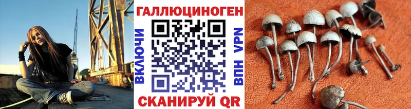 Галлюциногенные грибы мицелий  Краснозаводск 