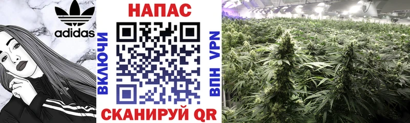 Бошки марихуана VHQ  omg зеркало  Краснозаводск 